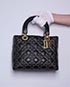 Supple Studded Lady Dior, front view